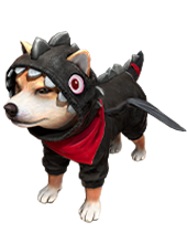 SHIBA