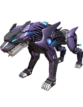 NIGHT PANTHER