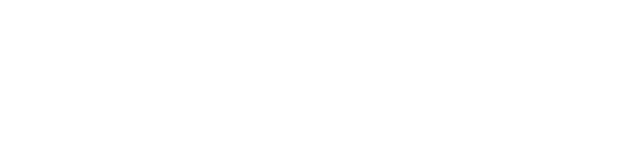 launcher