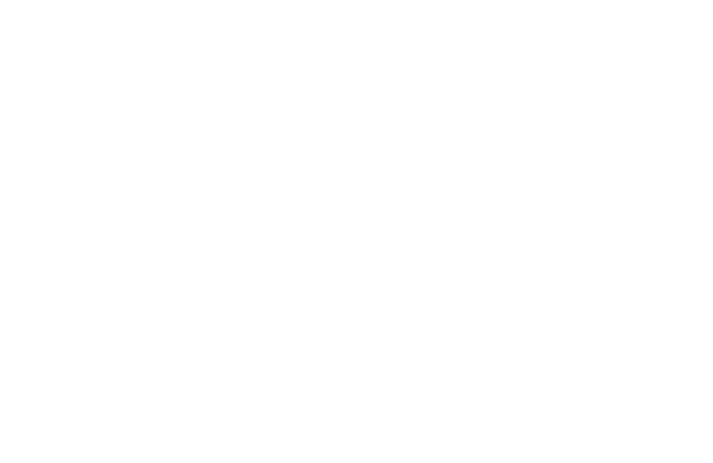 pistol